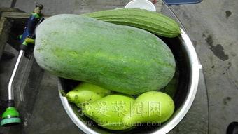 吃瓜网今日吃瓜热门大瓜谭竹,吃瓜网今日热门大瓜，揭秘娱乐圈风云人物背后的故事